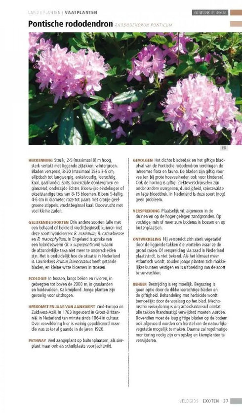 Veldgids Exoten -  Leewis,R. ym 2013